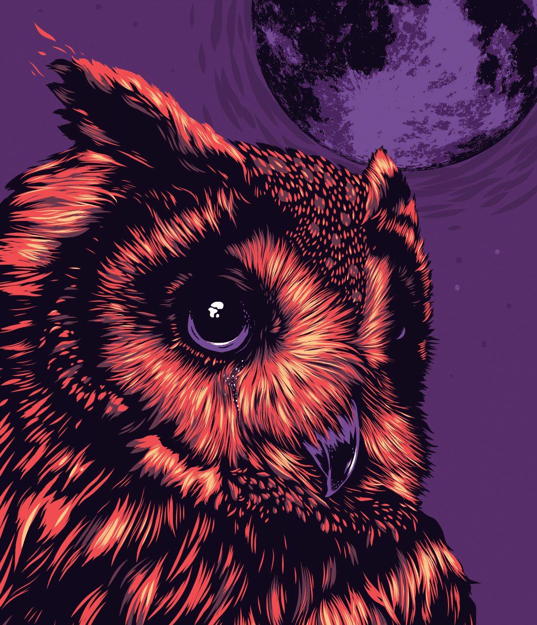 owl_detail
