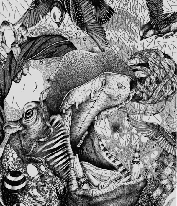 void_detail